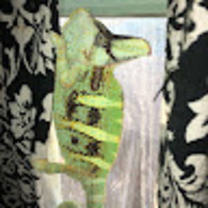 Meet your Posher, Captain